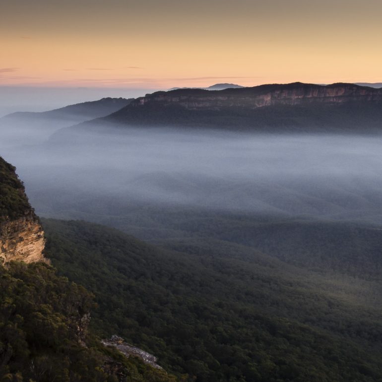 Classic Bushwalks Wild Blue Mountains