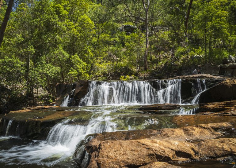 Wollemi – Wild Blue Mountains